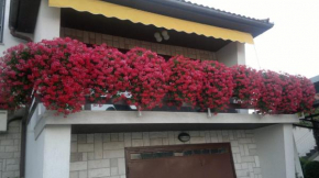 Apartment near the center - Nada